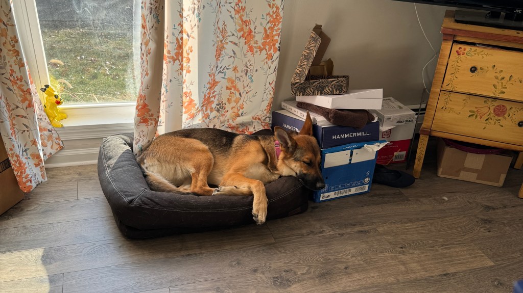 Deep Notes and Cozy&nbsp;Quiets