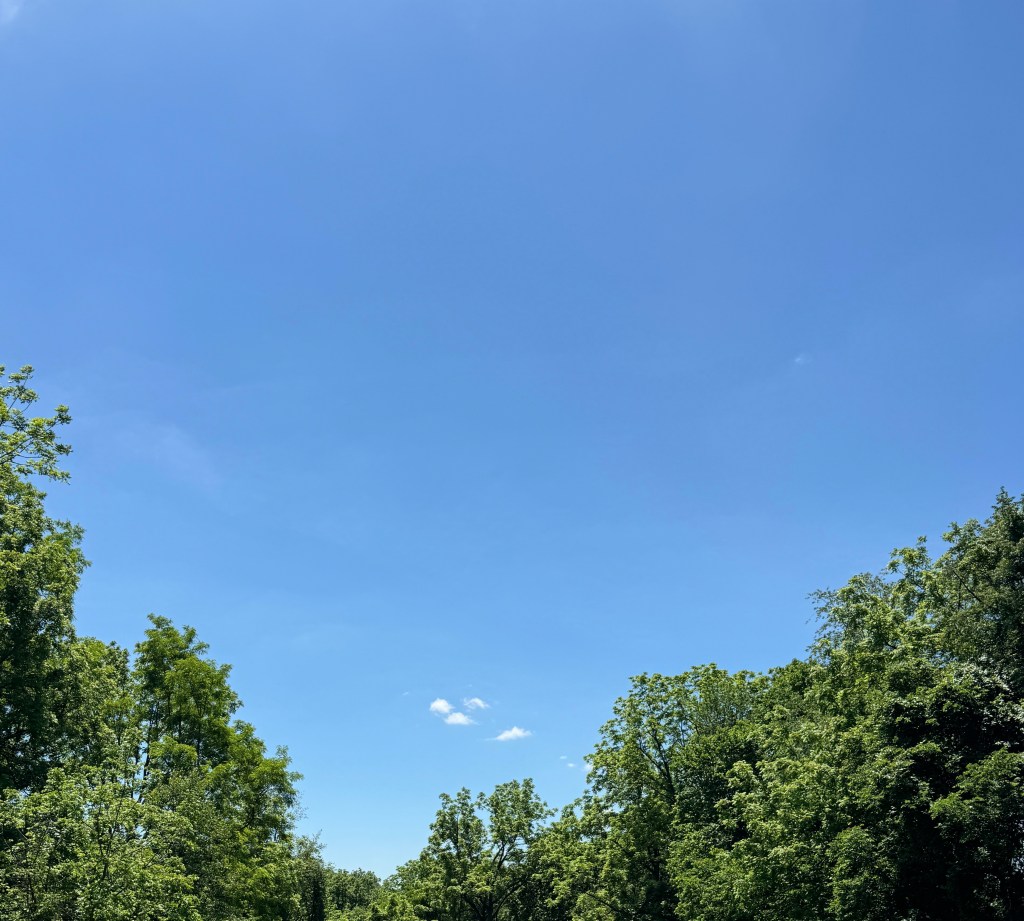 The Echo of&nbsp;Memory