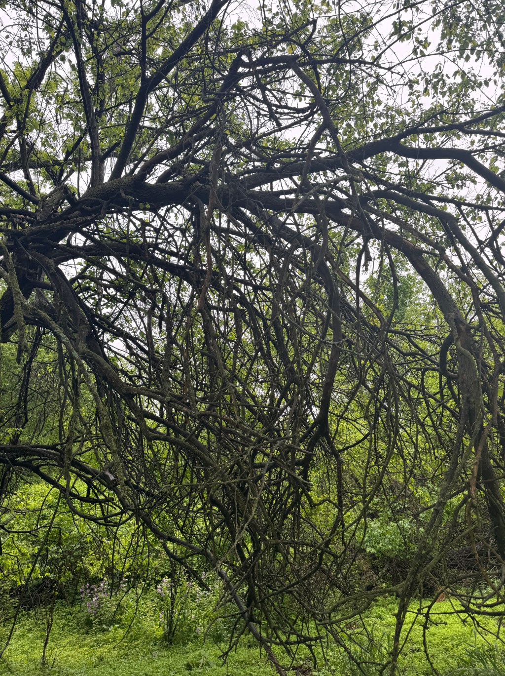 Stories You Can’t Make Up: How a Hitchhiker Stole My Week (in the best&nbsp;way!)