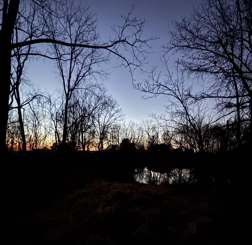 I’m Still Wintering and That’s&nbsp;Ok