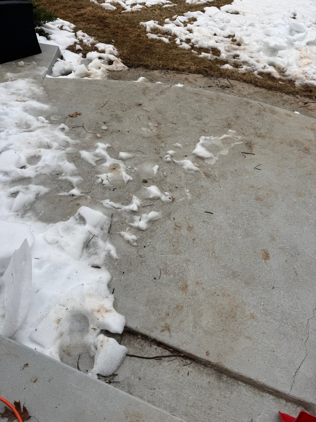 “No Winter last forever, No Spring skips its turn”